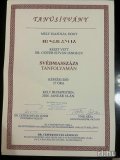 Villő vidéki masszőz